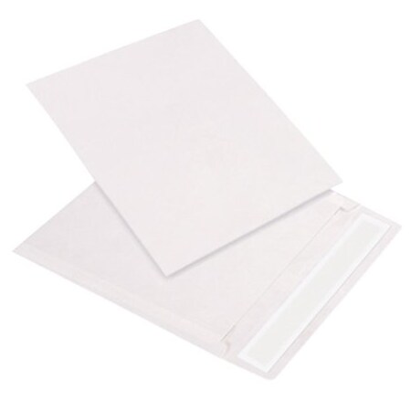 Bsc Preferred 10 x 13'' White Flat Tyvek Envelopes, 100PK TYF1013WS